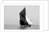 'Lord Nelson' (Br, 1898) sailing barge under sail by unknown
