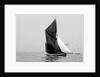 'Lord Nelson' (Br, 1898) sailing barge under sail by unknown