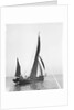 Giralda (1897) by F. C. Gould & Son