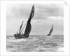 Sailing barge 'Genesta' (Br, 1903) under sail by Anonymous