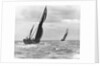 Sailing barge 'Genesta' (Br, 1903) under sail by Anonymous