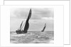 Sailing barge 'Genesta' (Br, 1903) under sail by Anonymous