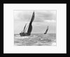 Sailing barge 'Genesta' (Br, 1903) under sail by Anonymous