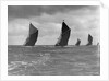 The Spritsail Barge Race, 1903 by Anonymous