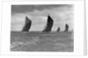 The Spritsail Barge Race, 1903 by Anonymous