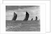 The Spritsail Barge Race, 1903 by Anonymous