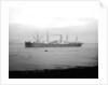 'Ayrshire' (Br, 1903) anchored on the River Thames at Tilbury by unknown