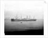 'Ayrshire' (Br, 1903) anchored on the River Thames at Tilbury by unknown