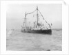 HMS 'Gossamer' (1860) on 28 June 1897 by unknown
