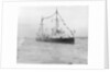 HMS 'Gossamer' (1860) on 28 June 1897 by unknown