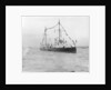 HMS 'Gossamer' (1860) on 28 June 1897 by unknown