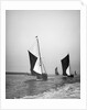 Sailing barge 'Sirdar' (Br, 1898) racing with other barges in the 1899 Thames Barge Match by Anonymous