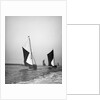 Sailing barge 'Sirdar' (Br, 1898) racing with other barges in the 1899 Thames Barge Match by Anonymous