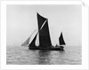 Sailing barge 'Veronica' (Br, 1906) under sail by unknown