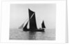 Sailing barge 'Veronica' (Br, 1906) under sail by unknown