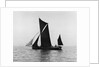 Sailing barge 'Veronica' (Br, 1906) under sail by unknown