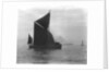 Sailing barge 'Verona' (Br, 1905) under sail by unknown