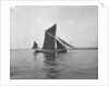 Sailing barge 'Sara' (Br, 1902) under sail by unknown