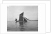 Sailing barge 'Sara' (Br, 1902) under sail by unknown