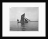 Sailing barge 'Sara' (Br, 1902) under sail by unknown