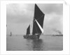 Sailing barge 'Mildreda' (Br, 1900) under sail by unknown