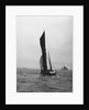 'Gloria' (Br, 1898) under sail by unknown