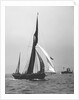 'Satanita' (Br, 1897) under sail by unknown