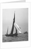 'Satanita' (Br, 1897) under sail by unknown