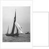 'Satanita' (Br, 1897) under sail by unknown