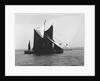 'Sirdar' (Br, 1898) and 'Lord Nelson' (Br, 1898) under sail by unknown