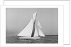 A yacht under sail by Anonymous