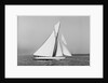 A yacht under sail by Anonymous