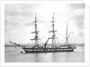'Essex' (Br, 1862) by unknown