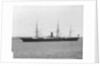 'Lusitania' (Br, 1871) by unknown