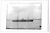 'Yeoman' (Br, 1882) by unknown