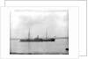 'Yeoman' (Br, 1882) by unknown
