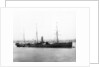 'Nizam' (Br, 1874) by unknown