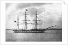 'Suffolk' (Br, 1857) by unknown