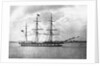 'Suffolk' (Br, 1857) by unknown