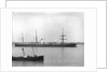 'Erin' (Br, 1864) by Anonymous