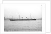Passenger liner 'Teutonic' (Br, 1889), Oceanic Steam Nav Co Ltd (White Star Line) by National Maritime Museum