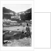 Clovelly Harbour and Village, Devon by Francis Frith & Co.