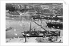 Harbour and flock of seagulls, Mevagissey, Cornwall by Francis Frith & Co.