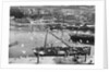 Harbour and flock of seagulls, Mevagissey, Cornwall by Francis Frith & Co.