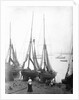 View across River Thames with fishing bawleys drawn up onto the foreshore. Gravesend, Kent by unknown