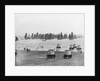 Harbour and herring fleet, Scarborough, Yorkshire by London