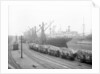 'Everonika' (La, 1906) at quayside in Stalbridge dock, Garston by unknown