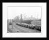 'Everonika' (La, 1906) at quayside in Stalbridge dock, Garston by unknown
