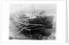 Trawler HMS 'Merlin II' (1906) by unknown