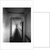 Corridor to the First Class Ladies' Room on the 'Saxonia' (1900) by Bedford Lemere & Co.